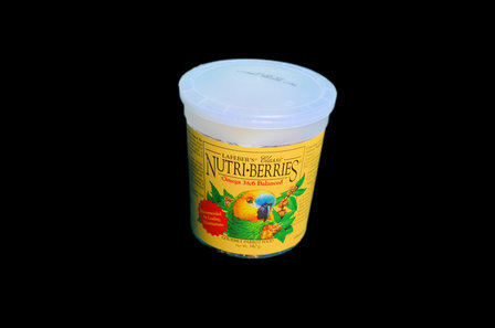 Nutri-Berries Classic (Noix) 284 gram