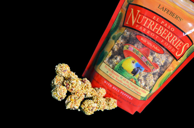 nutri-berries El paso la feber 3