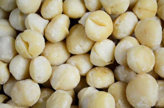 Macadamia noten 500 gram