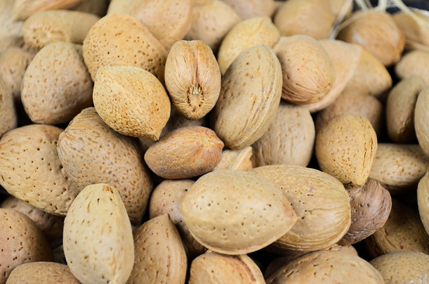 Amandes en coque 1 kg 