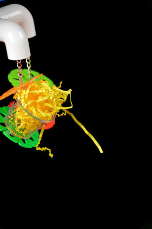 papegaaienspeelgoed - dieca - fouraging cup quatro 7