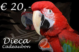 3* Dieca cadeaubon € 20,-